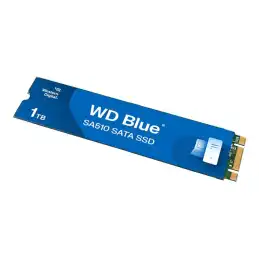 WD Blue SA510 WDS100T3B0B - SSD - 1 To - interne - M.2 2280 - SATA 6Gb - s - bleu (WDS100T3B0B-00AXS0)_1