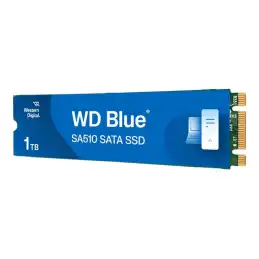 WD Blue SA510 WDS100T3B0B - SSD - 1 To - interne - M.2 2280 - SATA 6Gb - s - bleu (WDS100T3B0B-00AXS0)_2