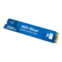 WD Blue SA510 WDS250G3B0B - SSD - 250 Go - interne - M.2 2280 - SATA 6Gb - s - bleu (WDS250G3B0B-00AXS0)_1