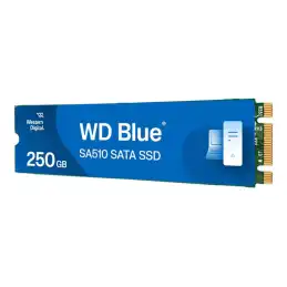 WD Blue SA510 WDS250G3B0B - SSD - 250 Go - interne - M.2 2280 - SATA 6Gb - s - bleu (WDS250G3B0B-00AXS0)_2