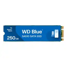 WD Blue SA510 WDS250G3B0B - SSD - 250 Go - interne - M.2 2280 - SATA 6Gb - s - bleu (WDS250G3B0B-00AXS0)_3