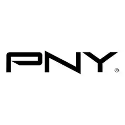 PNY RP60 - SSD - 1 To - externe (portable) - USB 3.2 Gen 2x2 (PSD0CS3060-1TB-RB)_2