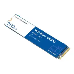 WD Blue SN570 NVMe SSD WDS250G3B0C - SSD - 250 Go - interne - M.2 2280 - PCIe 3.0 x4 (NVMe) (WDS250G3B0C-00BNN0)_1