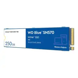 WD Blue SN570 NVMe SSD WDS250G3B0C - SSD - 250 Go - interne - M.2 2280 - PCIe 3.0 x4 (NVMe) (WDS250G3B0C-00BNN0)_2