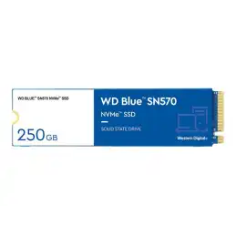 WD Blue SN570 NVMe SSD WDS250G3B0C - SSD - 250 Go - interne - M.2 2280 - PCIe 3.0 x4 (NVMe) (WDS250G3B0C-00BNN0)_3