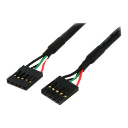Câble VDG Carte Mère 5 pin - Connecteur USB 2.0 Interne - Câble d'Extension pour Port Carte Mère ... (USBINT5PIN12)_1