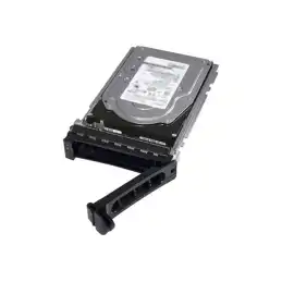 Dell - SSD - Read Intensive - 960 Go - 512e - échangeable à chaud - 2.5" (dans un support de 3,5") - ... (345-BGSY)_1