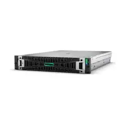 HPE ProLiant DL345 Gen11 - Serveur - Montable sur rack 2U - 1 voie - 1 x EPYC 9115 - jusqu'à 4.1 GH... (P81839-425)_1