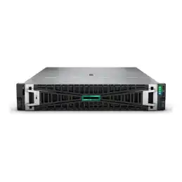 HPE ProLiant DL385 Gen11 Network Choice - Serveur - Montable sur rack 2U - 2 voies - 1 x EPYC 9115 ... (P81841-425)_1