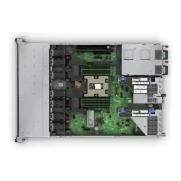 HPE ProLiant DL325 Gen11 - Serveur - Montable sur rack 1U - 1 voie - 1 x EPYC 9115 - jusqu'à 4.1 GH... (P81836-425)_4